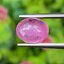 พลอย ชมพู พิ้ง แซฟไฟร์ Pink Sapphire 2.59 กะรัต พลอยแท้ อัญมณีมงคลประจําวันเกิด เครื่องประดับพลอย