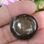 พลอย แบล็ค สตาร์ แซฟไฟร์ Black Star Sapphire 114.20 กะรัต (Cts.)