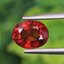 พลอย สเปสซาร์ไทต์ Spessartite Garnet 1.44 กะรัต Cts.พลอยแท้ อัญมณีมงคลประจําวันเกิด เครื่องประดับพลอย