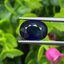 ไพลิน (Blue Sapphire) 3.76 กะรัต (Cts.) พลอยแท้ อัญมณีมงคลประจําวันเกิด เครื่องประดับพลอย