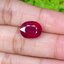พลอย ทับทิม (Ruby Sapphire) 9.80 กะรัต (Cts.) พลอยแท้ อัญมณีมงคลประจําวันเกิด เครื่องประดับพลอย