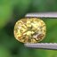 พลอย บุษราคัม yellow sapphire 1.17 กะรัต (Cts.) ดิบ (Unheated) พร้อมใบเซอร์ พลอยแท้ อัญมณีมงคลประจําวันเกิด เครื่องประดับพลอย