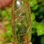 ไหมทอง ควอตซ์ Golden Rutilated Quartz 53.74 กะรัต Cts. พลอยแท้ อัญมณีมงคลประจําวันเกิด เครื่องประดับพลอย