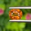 พลอย บุษราคัม Yellow Sapphire 1.30 กะรัต (Cts.) พลอยแท้ อัญมณีมงคลประจําวันเกิด เครื่องประดับพลอย