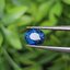 พลอย ไพลิน (Blue Sapphire) 1.38 กะรัต (Cts.) พลอยแท้ อัญมณีมงคลประจําวันเกิด เครื่องประดับพลอย