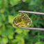 พลอย พาไรบ้า ทัวร์มาลีน Paraiba Tourmaline 9.52 กะรัต (Cts.) พร้อมใบเซอร์ พลอยแท้อัญมณีมงคล ประจําวันเกิด เครื่องประดับพลอย