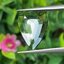พลอย เขียวส่อง Green Sapphire 2.43 กะรัต (Cts.) พลอยแท้ อัญมณีมงคลประจําวันเกิด เครื่องประดับพลอย