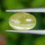 พลอย ตาแมว คริโซเบริล Cat eye Chrysoberyl 1.54 กะรัต (Cts.) พลอยแท้ อัญมณีมงคลประจําวันเกิด เครื่องประดับพลอย