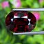 พลอย โกเมน Pyrope - Almandite Garnet 9.33 กะรัต (Cts.) พร้อมใบเซอร์ พลอยแท้ อัญมณีมงคลประจําวันเกิด เครื่องประดับพลอย