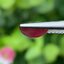 พลอย ทับทิม สยาม Siam Ruby sapphire 1.19 กะรัต (Cts.) พร้อมใบเซอร์ พลอยแท้ อัญมณีมงคลประจําวันเกิด เครื่องประดับพลอย