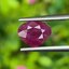 พลอย ทับทิม (Ruby sapphire) พม่า (Burma Ruby) 1.61 กะรัต พลอยแท้ อัญมณีมงคลประจําวันเกิด เครื่องประดับพลอย