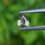 พลอย อเล็กซานไดร์ (Natural Alexandrite Chrysoberyl) 0.49 กะรัต (Cts.) ดิบ (Unheated) พร้อมใบเซอร์ พลอยแท้ อัญมณีมงคลประจําวันเกิด เครื่องประดับพลอย