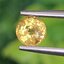 พลอย บุษราคัม Yellow Sapphire 0.76 กะรัต (Cts.) พลอยแท้ อัญมณีมงคลประจําวันเกิด เครื่องประดับพลอย