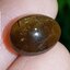 พลอย ตาแมว อะพาไทต์ Cat eye Apatite 7.67 กะรัต (Cts.)