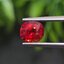 พลอย ทับทิม ซองเจีย Songea Ruby Sapphire 1.48 กะรัต (Cts.) พร้อมใบเซอร์ พลอยแท้ อัญมณีมงคลประจําวันเกิด เครื่องประดับพลอย