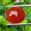 พลอย โมรา Natural Chalcedony 11.80 กะรัต (Cts.) พลอยแท้ อัญมณีมงคลประจําวันเกิด เครื่องประดับพลอย