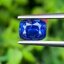 พลอย ไพลิน (Blue Sapphire) 1.57 กะรัต (Cts.) สีพิเศษ รอยัล บลู (Royal Blue) พร้อมใบเซอร์ พลอยแท้ อัญมณีมงคลประจําวันเกิด เครื่องประดับพลอย