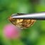 พลอย เพทาย Natural Zircon 2.21 กะรัต (Cts.) พลอยแท้อัญมณีมงคล ประจําวันเกิด เครื่องประดับพลอย