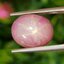 พลอย ทับทิม สตาร์ แซฟไฟร์ Ruby Star Sapphire 10.76 กะรัต (Cts.) พลอยแท้ อัญมณีมงคลประจําวันเกิด เครื่องประดับพลอย