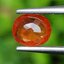พลอย บุษราคัม Yellow Sapphire 1.24 กะรัต (Cts.) พลอยแท้ อัญมณีมงคลประจําวันเกิด เครื่องประดับพลอย