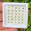 พลอย ดีแมนทรอยด์ การ์เน็ต Demantoid Garnet 2.89 Cts. 30 เม็ด (Pcs.) ดิบ Unheated พลอยแท้ อัญมณีมงคลประจําวันเกิด เครื่องประดับพลอย