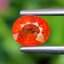 พลอย บุษราคัม Yellow Sapphire 1.11 กะรัต (Cts.) พลอยแท้ อัญมณีมงคลประจําวันเกิด เครื่องประดับพลอย