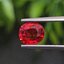 พลอย ทับทิม ซองเจีย Songea Ruby Sapphire 1.63 กะรัต (Cts.) พร้อมใบเซอร์ พลอยแท้ อัญมณีมงคลประจําวันเกิด เครื่องประดับพลอย
