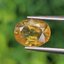 พลอย บุษราคัม yellow sapphire 3.18 กะรัต (Cts.) พลอยแท้ อัญมณีมงคลประจําวันเกิด เครื่องประดับพลอย