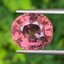 พลอย ทัวร์มารีน (Tourmaline) 7.68 กะรัต (Cts.) อัญมณีมงคลประจําวันเกิด เครื่องประดับพลอย