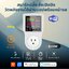 สมาร์ทปลั๊ก_Wi-Fi Smart Plug Meter