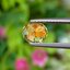 พลอย คริโซเบริล (Chrysoberyl) 1.06 กะรัต (Cts.) พลอยแท้ อัญมณีมงคลประจําวันเกิด เครื่องประดับพลอย