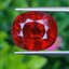 พลอย สเปสซาร์ไทต์ Spessartite Garnet 15.95 กะรัต (Cts.) ดิบ Unheated พร้อมใบเซอร์ พลอยแท้ อัญมณีมงคลประจําวันเกิด เครื่องประดับพลอย