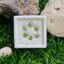 พลอย ดีแมนทรอยด์ การ์เน็ต Demantoid Garnet 2.10 Cts. 6 เม็ด (Pcs.) ดิบ Unheated พลอยแท้ อัญมณีมงคลประจําวันเกิด เครื่องประดับพลอย