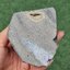 ก้อน ผลึก อเมทิส จีโอด Amethyst Geode 511 กรัม (grams.) พลอยแท้ อัญมณีมงคลประจําวันเกิด เครื่องประดับพลอย