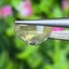 พลอย บุษราคัม yellow sapphire 3.68 กะรัต (Cts.) ดิบ (Unheated) พร้อมใบเซอร์ พลอยแท้ อัญมณีมงคลประจําวันเกิด เครื่องประดับพลอย