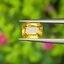 พลอย บุษราคัม Yellow Sapphire 0.92 กะรัต (Cts.) พลอยแท้ อัญมณีมงคลประจําวันเกิด เครื่องประดับพลอย