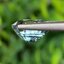 พลอย เพทาย (Zircon) 5.00 กะรัต (Cts.) พลอยแท้ อัญมณีมงคลประจําวันเกิด เครื่องประดับพลอย