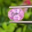พลอย ชมพู พม่า พิ้ง แซฟไฟร์ Burmese Pink Sapphire 1.36 กะรัต (Cts.) พร้อมใบเซอร์ พลอยแท้ อัญมณีมงคลประจําวันเกิด เครื่องประดับพลอย