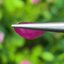 พลอย ทับทิม พม่า (Burmese Ruby Sapphire) 2.20 กะรัต พลอยแท้ อัญมณีมงคลประจําวันเกิด เครื่องประดับพลอย