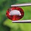 พลอย สเปสซาร์ไทต์ Spessartite Garnet 1.44 กะรัต Cts.พลอยแท้ อัญมณีมงคลประจําวันเกิด เครื่องประดับพลอย