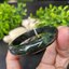 JB6804049 หยก พม่า แท้ Jade กำไลหยก 62.3 มม. (Jadeite bracelet) พม่า (Myanmar)