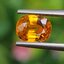 พลอย บุษราคัม yellow sapphire 1.26 กะรัต (Cts.) พลอยแท้ อัญมณีมงคลประจําวันเกิด เครื่องประดับพลอย