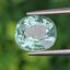 พลอยทัวร์มารีน (Tourmaline) 3.69 กะรัต (Cts.) พร้อมใบเซอร์ อัญมณีมงคลประจําวันเกิด เครื่องประดับพลอย