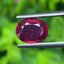 พลอย ทับทิม (Ruby Sapphire) 2.16 กะรัต (Cts.) พลอยแท้ อัญมณีมงคลประจําวันเกิด เครื่องประดับพลอย