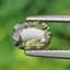 พลอย เขียวส่อง Green Sapphire 1.22 กะรัต (Cts.) ดิบ พลอยแท้ อัญมณีมงคลประจําวันเกิด เครื่องประดับพลอย