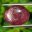 พลอย ทับทิม สตาร์ แซฟไฟร์ Ruby Star Sapphire 13.14 กะรัต (Cts.) พลอยแท้ อัญมณีมงคลประจําวันเกิด เครื่องประดับพลอย