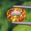 พลอย บุษราคัม yellow sapphire 2.66 กะรัต (Cts.) พลอยแท้ อัญมณีมงคลประจําวันเกิด เครื่องประดับพลอย