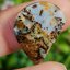 พลอย โบลเดอร์ โอปอล ออสเตรเลีย Australian Boulder Opal 14.3 กะรัต (Cts.) พลอยแท้ อัญมณีมงคลประจําวันเกิด เครื่องประดับพลอย