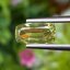 พลอย คริโซเบริล (Chrysoberyl) 1.52 กะรัต (Cts.) พลอยแท้ อัญมณีมงคลประจําวันเกิด เครื่องประดับพลอย