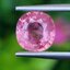 พลอยชมพูส้มแซฟไฟร์ Orangy Pink Sapphire 1.56 กะรัต (Cts.) พร้อมใบเซอร์ พลอยแท้ อัญมณีมงคลประจําวันเกิด เครื่องประดับพลอย
